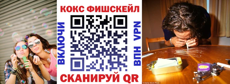 Купить закладки  Ардон  Cocaine Fish Scale 