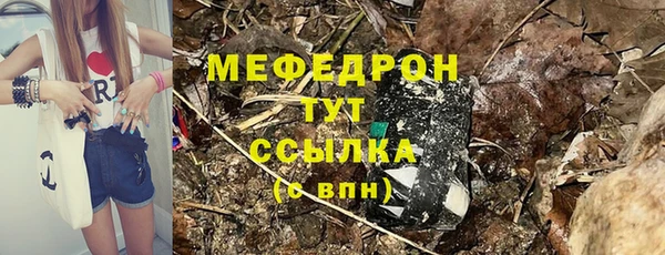 стаф Козловка
