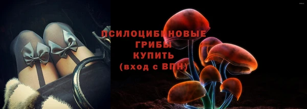 прущая мука Корсаков