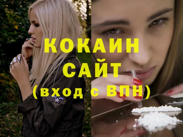 стаф Коряжма