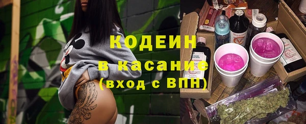 стаф Козловка