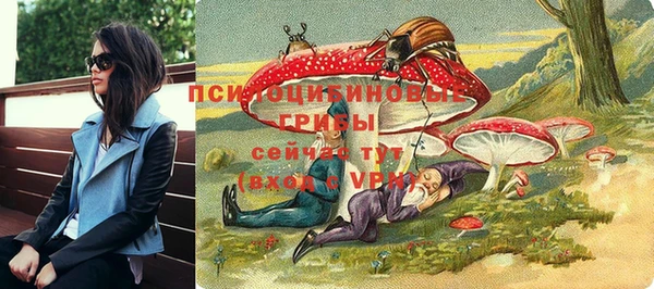 стаф Коряжма