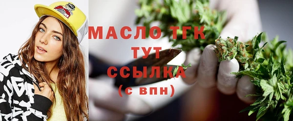 стаф Козловка