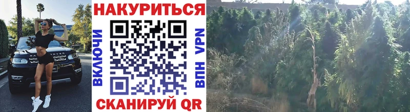 Купить закладки  Ардон  Конопля Bruce Banner 